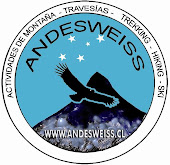 LOGO ANDESWEISS