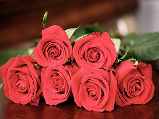 Red Roses Love Wallpapers And Backgrounds Seen On www.dil-ki-dunya.tk