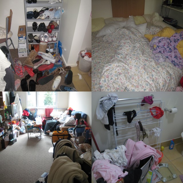 [collage61.jpg]