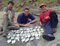 sargoboya_sargotrucha.jpg