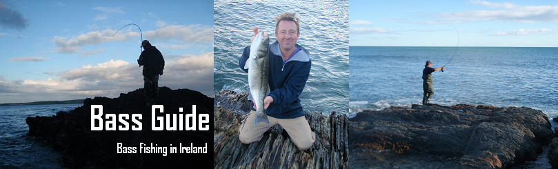 Bass Guide
