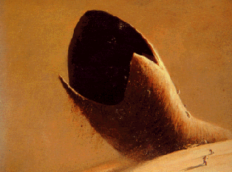 dune wormdune worm