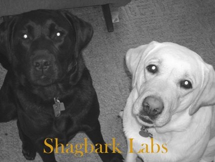 Shagbark Labs
