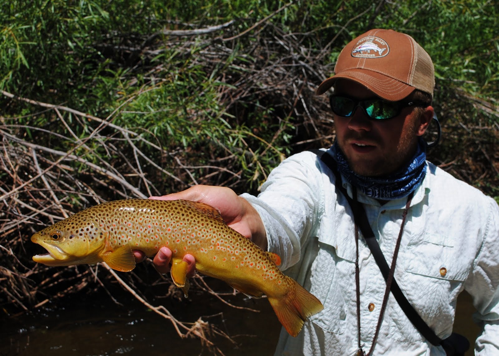 Steelhead Alley Outfitters Lake Erie Fly Fishing Guide Service and