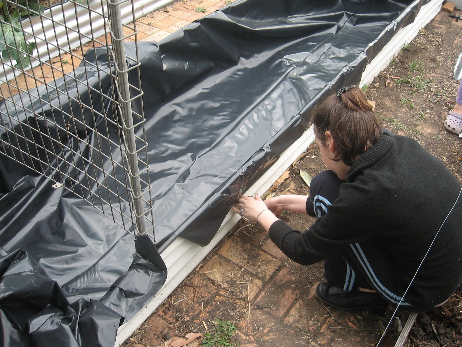 Bits out the Back Latest Wicking bed... Bed 2....