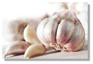 pontos_vista_artigo_divulgacao32_1_alho.jpg
