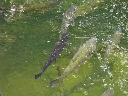 [IMG_2170.JPG]