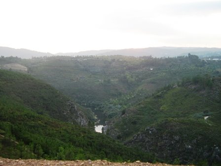 [IMG_2252.JPG]