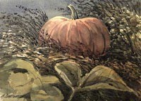 [pumpkin_mulch.jpg]