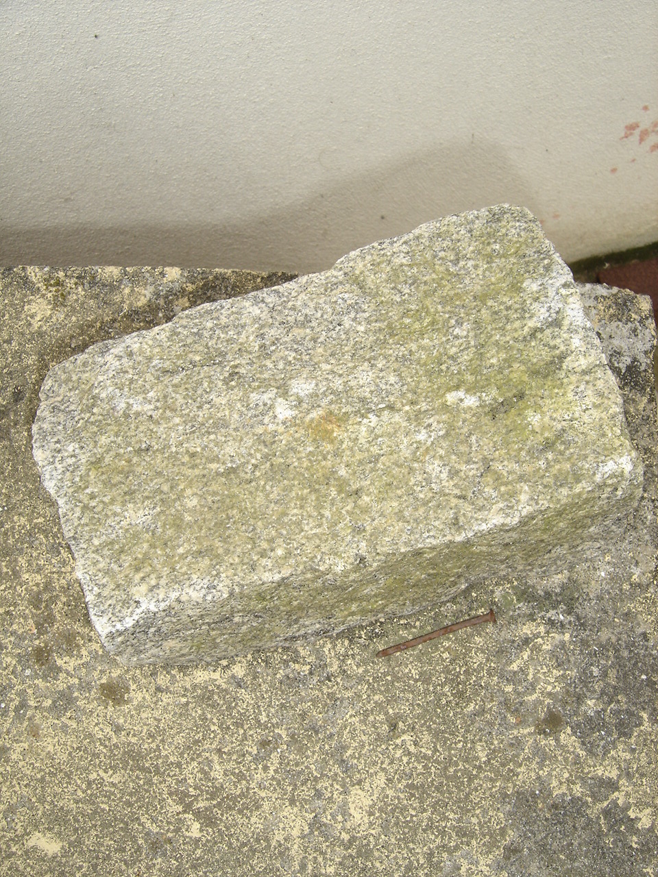 [DSC08429.JPG]