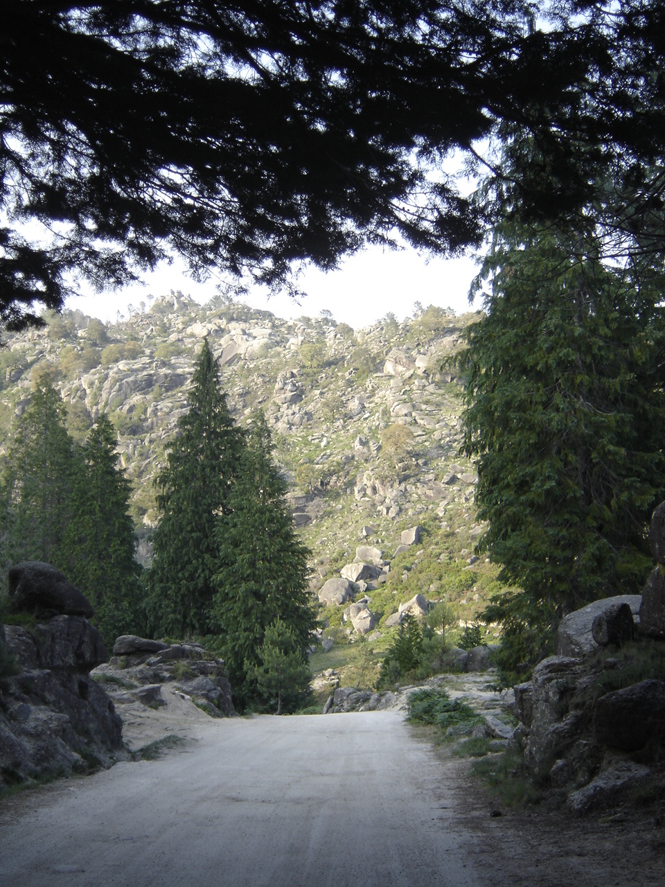 [DSC09157.JPG]