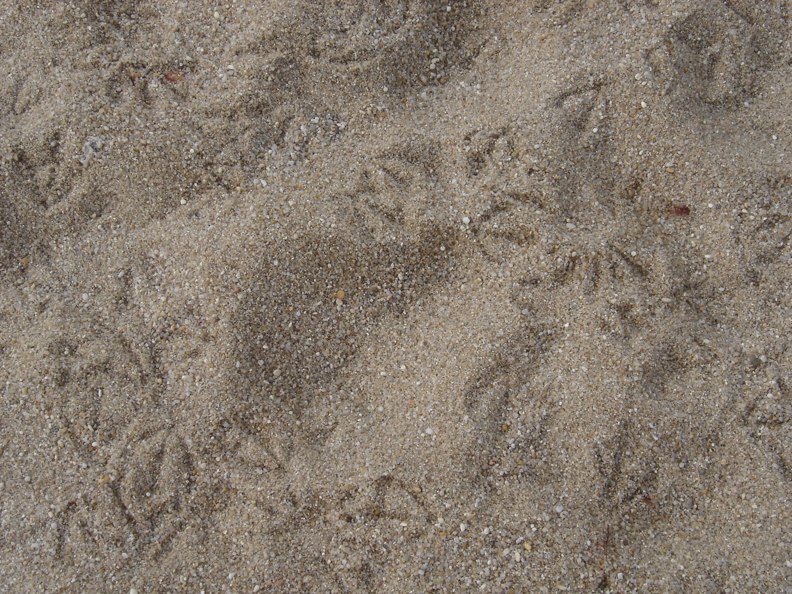 [DSC05408.JPG]