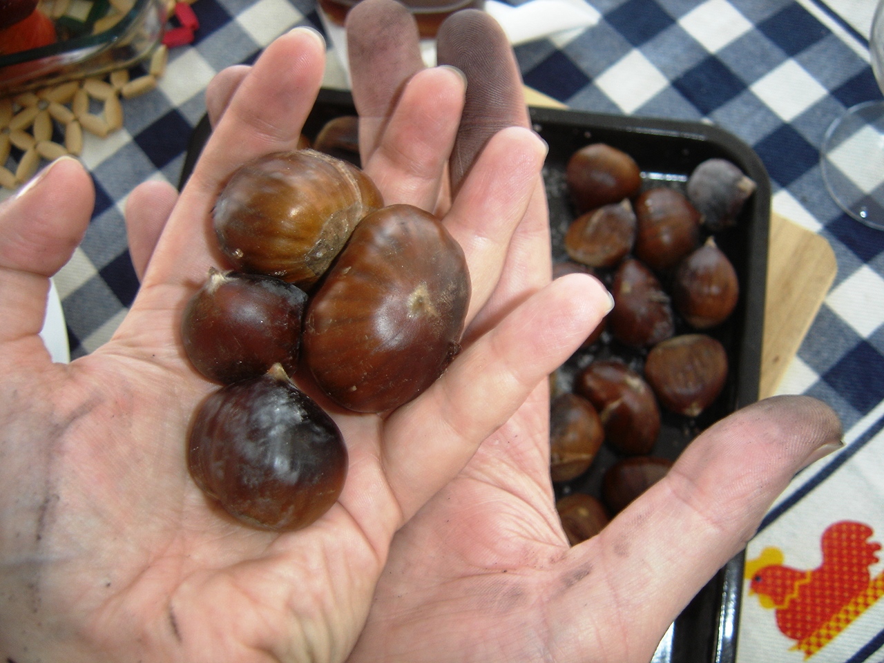 [DSC02146.JPG]