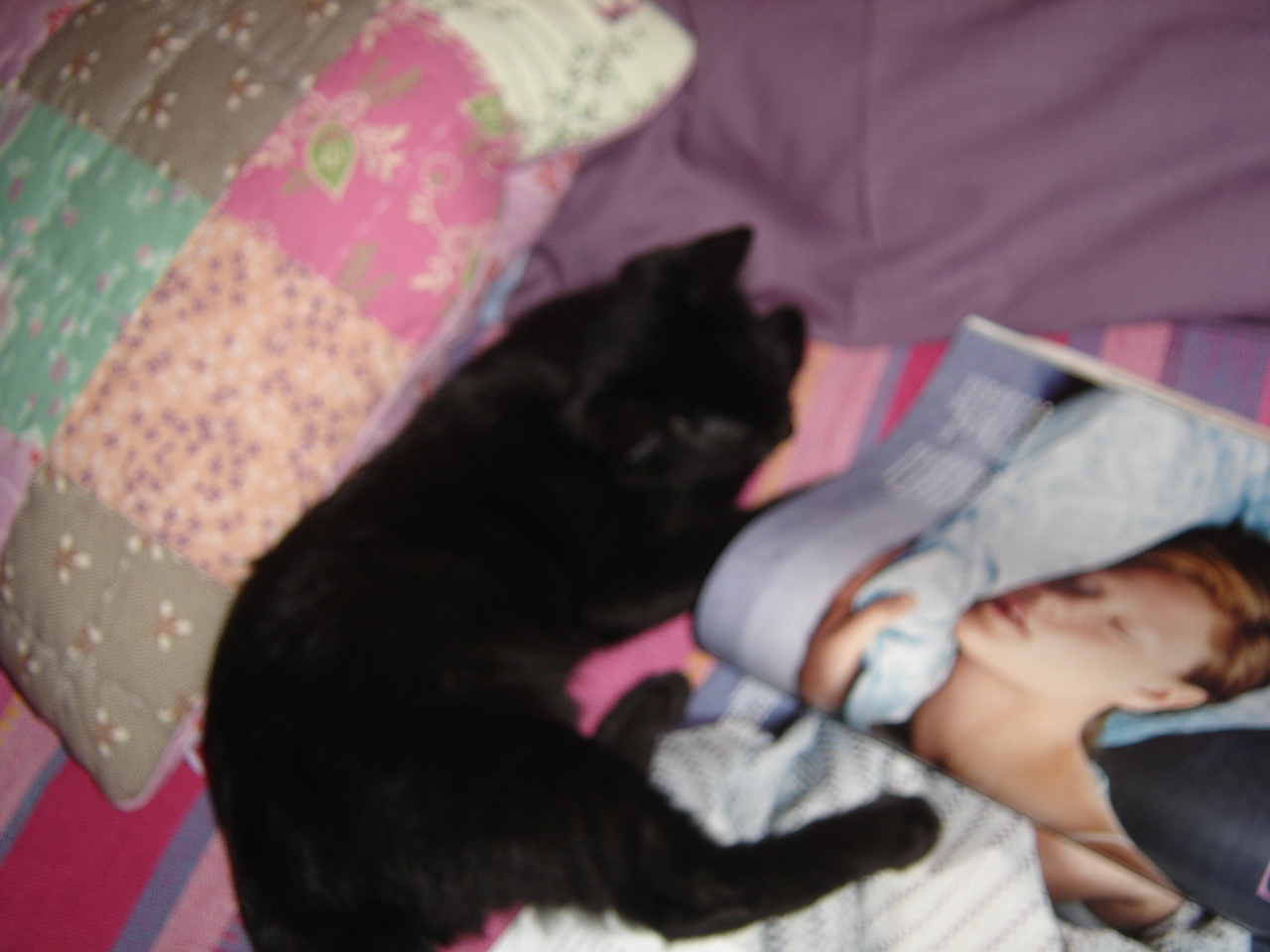 [DSC01145.JPG]