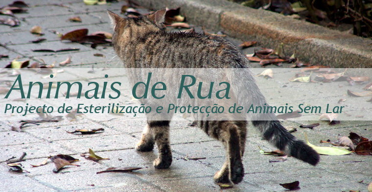 [banner-home.jpg]