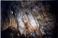 Kutumsar Cave Chhattisgarh Tourism