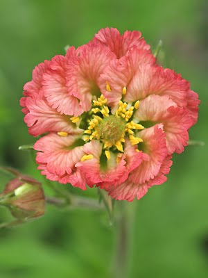 [Geum+Bell+Bank.jpg]