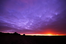 RETURN TO DARTMOOR BLOG