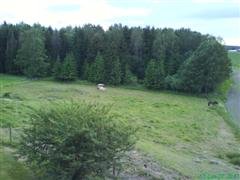 [DSC00202+(WinCE).JPG]