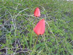 [DSC00054+(WinCE).JPG]