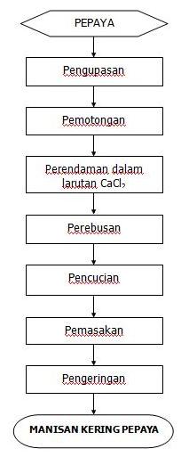 Belajar Pangan Manisan Kering Pepaya