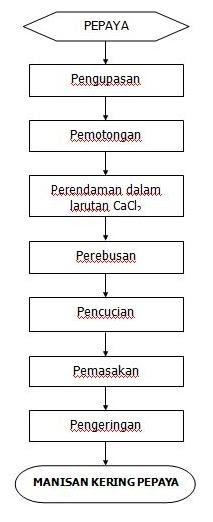 Tujuan Pemberian Gula Dengan Kadar Yang Tinggi Pada Manisan Buah Yaitu