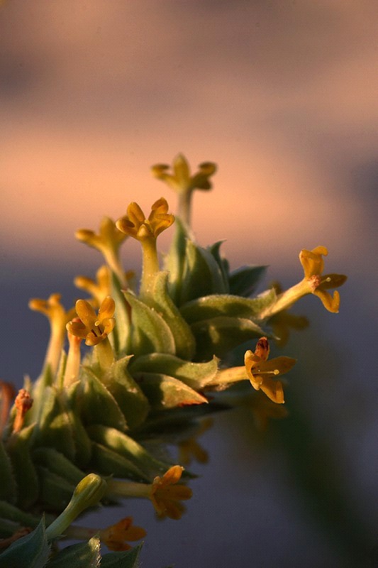 [AFIRM.DE+PODER+4.jpg]