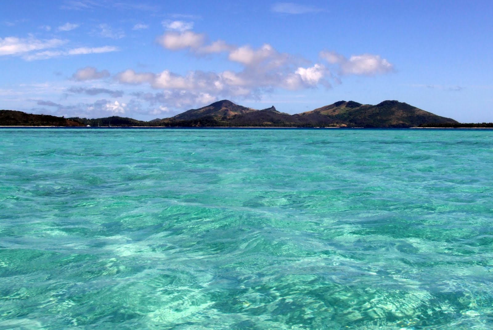 Grenouille et crapaud