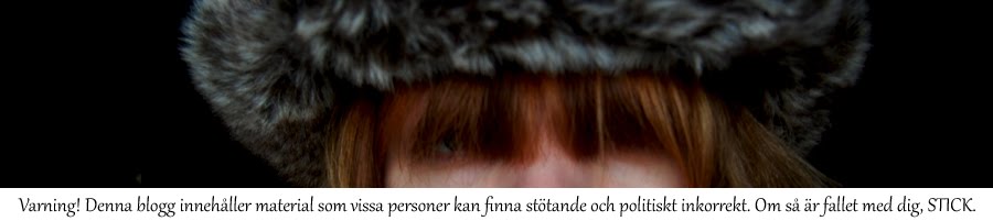 En jätterolig blogg