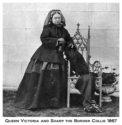 Victoria at Balmoral Sharp border collie 1867