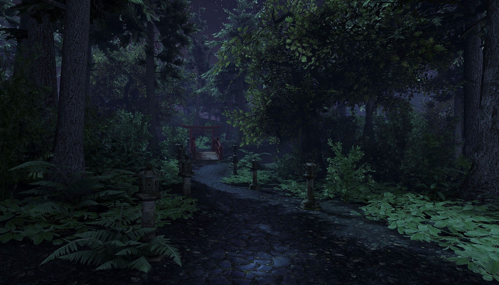 forest night