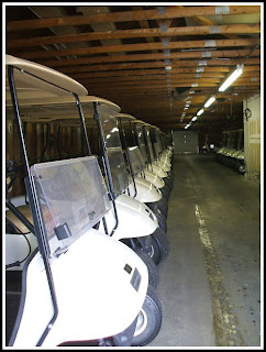 Golf Carts at Meadow Lakes