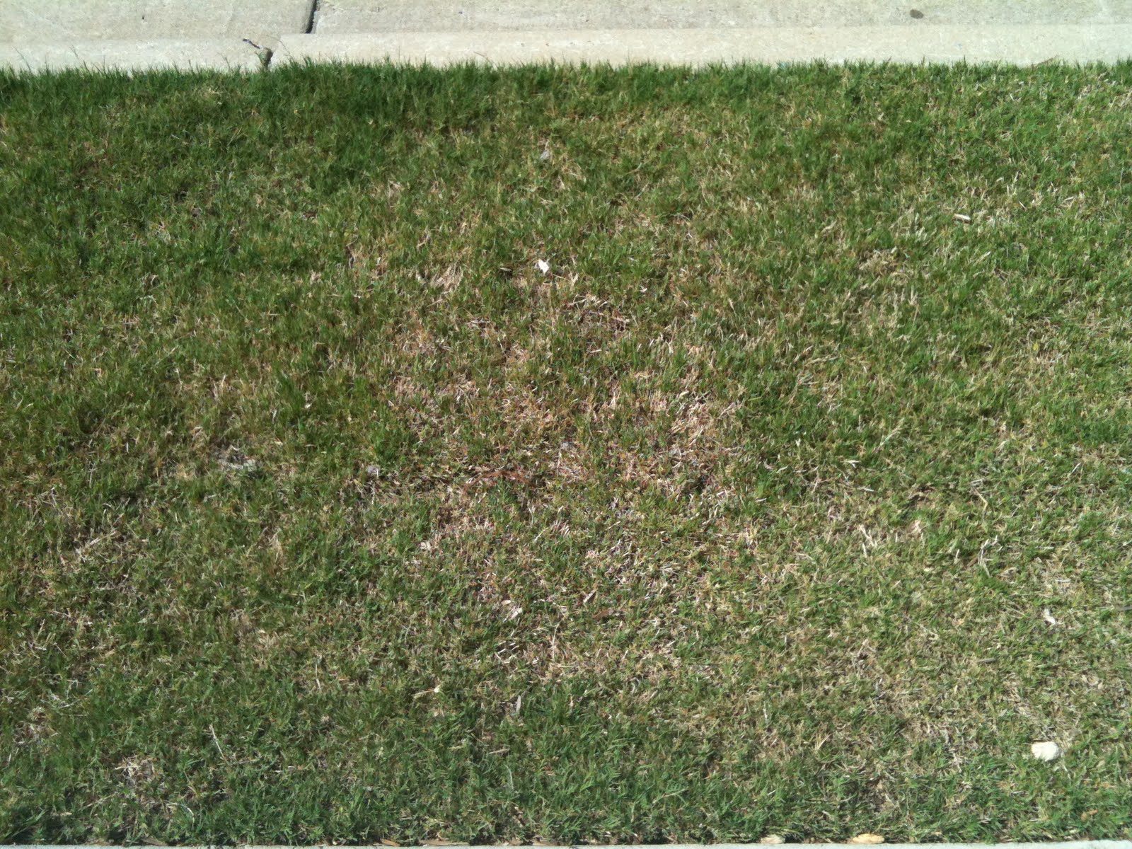 Round About Apex North Carolina Apex Neighborhoods