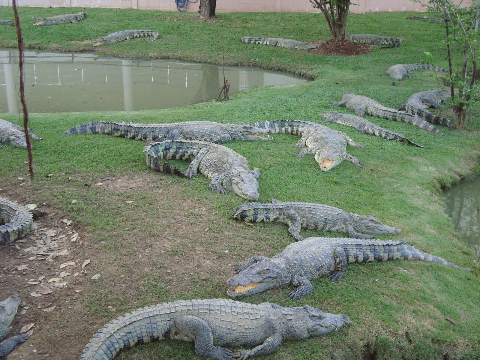 [DSC08154.JPG]
