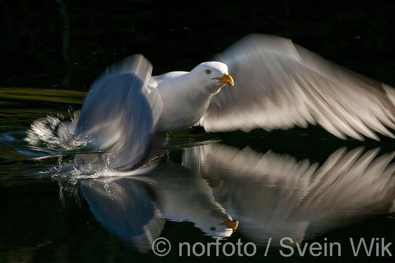 [DP905_7024_s-1.jpg]