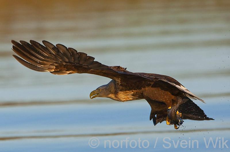 [DP905_8121_s-1.jpg]