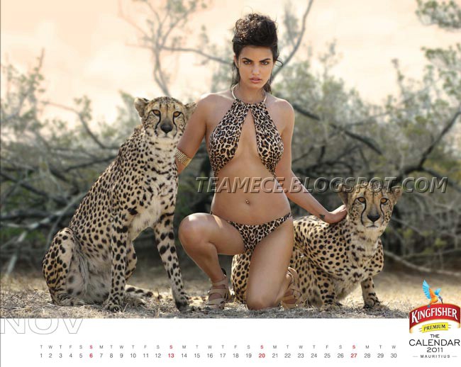 2011 calendar hot. 2011 Kingfisher Calendar Hot Girls Stills Kingfisher Calendar 2011 Exclusive 
