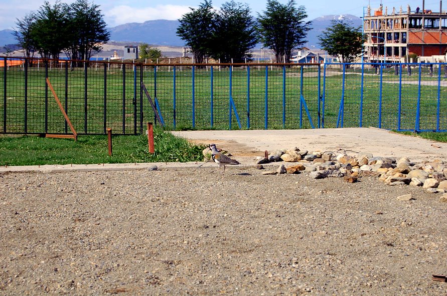 [DSC_0876.JPG]
