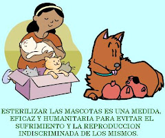 ESTERILIZAR