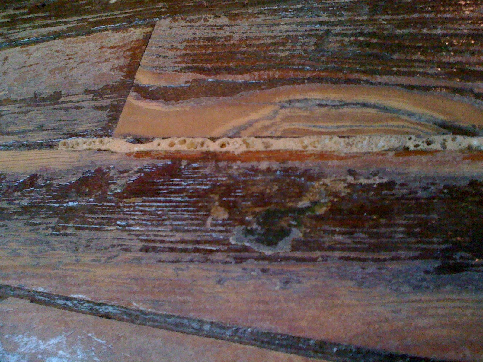 CityKin Wood Floors and Gorilla Glue