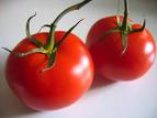 [tomate.jpg]