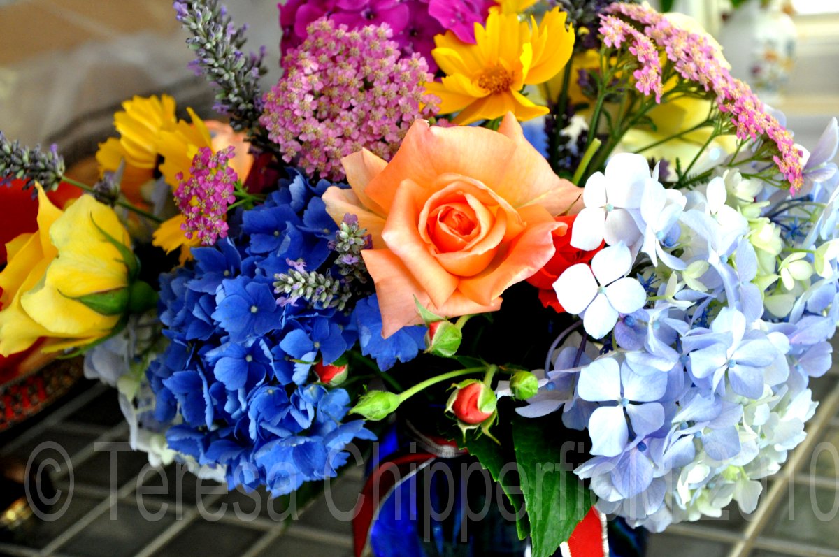 Poppy Place Pdx FRIDAY FLOWERS! )