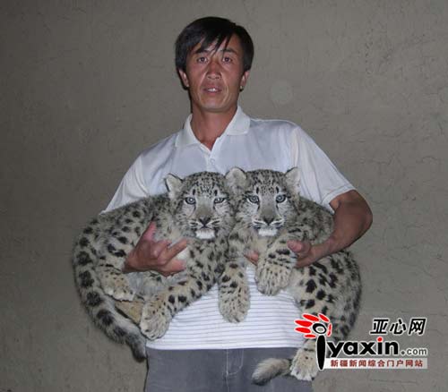 [SnowLeopard.jpg]