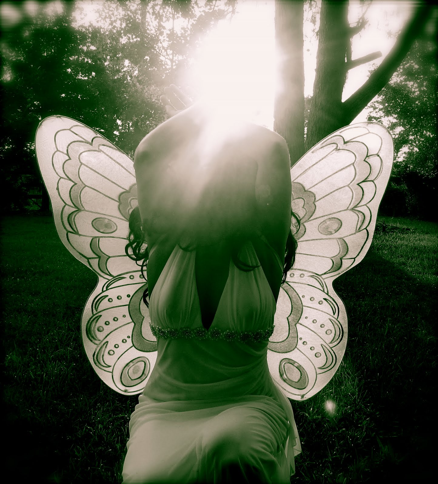 Landscapes of My Soul Butterfly Freedom
