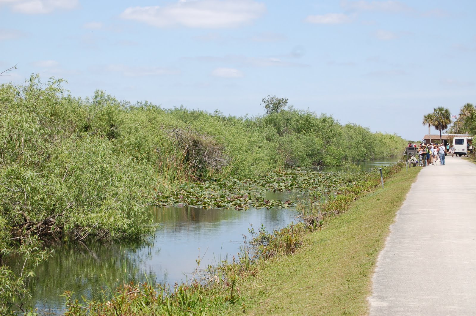 Small Travels and Musings Everglades, Miccosukee Reservation and Big