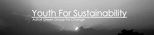 Youth for Sustainability