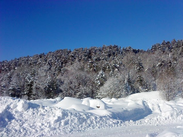 [DSC00118.JPG]