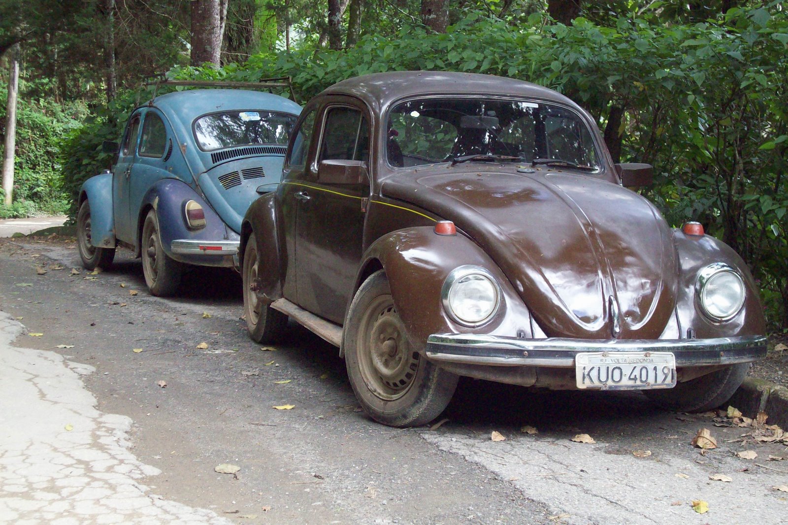 [101_3745.JPG]