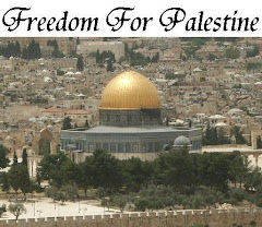 Freedom in Palestine