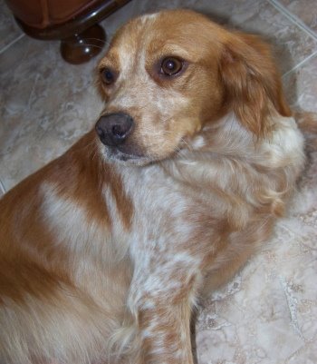 [2952016435_5dfa93a63b.jpg]